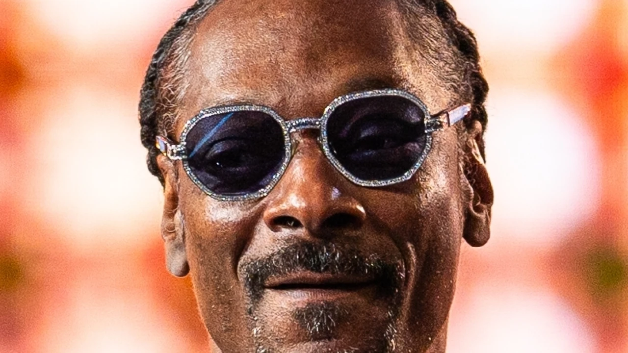 Snoop Dogg 2026-2027 Tour & Schedule featuring Snoop Dogg live on stage with stadium crowd
